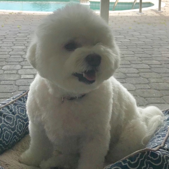 Meet your Posher, Madison - Picture 1 of 1